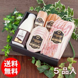 筑波ハム ギフトセット 22-10s 送料無料 筑波ハム 常陸の輝き 国産豚 茨城県産 ハム ベーコン ソーセージ ヨーグルト ギフト 贈り物 茨城県 お土産 高級ハム 茨城 内祝い お礼 お祝い 冬ギフト