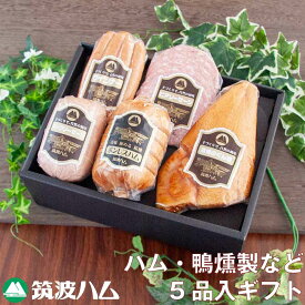 御祝 御礼 内祝 筑波ハム ギフトセット 22-03 筑波ハム 常陸の輝き 国産豚 茨城県産 ハム ギフト お祝い 内祝い 贈り物 茨城県 お土産 高級ハム 茨城 ボンレス ハム ソーセージ 合鴨のくん製 感謝 お礼 プレゼント 冬ギフト