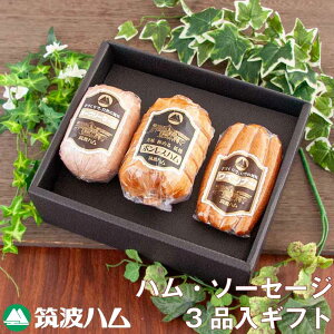 j  j }gn MtgZbg 22-06 }gn 헤̋P Y 錧Y n Mtg  j j 蕨 錧 yY n  {X n \[Z[W EBi[