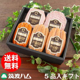 筑波ハム ソーセージ ギフトセット 22-11s 送料無料 筑波ハム 常陸の輝き 国産 茨城県産 ソーセージ ギフト 贈り物 茨城県 つくば市 お土産 高級ハム 茨城 内祝い お礼 お祝い 冬ギフト