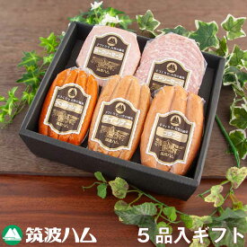 御祝 御礼 内祝 筑波ハム ギフトセット 22-11 筑波ハム 常陸の輝き 国産豚 茨城県産 ハム ギフト 贈り物 茨城県 お土産 高級ハム 茨城 ソーセージ 内祝い お礼 お祝い 感謝 プレゼント 冬ギフト