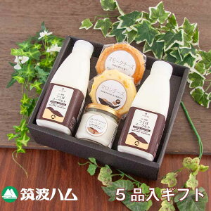 hV̓ j }gn MtgZbg 22-12 }gn Y 錧Y [Og `[Y Mtg 蕨 錧 yY n  j  j ăMtg