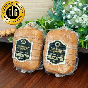 j  j 헤̋P 胍[Xn MtgZbgi˔j }gn 헤̋P Y 錧Y n Mtg j j 蕨 錧 yY n  ʔ̌ Mtg