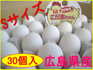 �y�������zS�T�C�Y�̂��܂� �����܂����@(30��)��