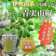 【2026年新物】【枝処理済・アク抜き済】青実山椒 伊吹山系 実山椒 山椒 山椒の実 冷凍 国産100% 滋賀県 …