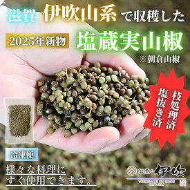 【2025年新物】【枝処理済・塩抜き済】塩蔵実山椒 伊吹山系 実山椒 冷凍 国産100% 滋賀県 長浜 ご飯のお供 お酒のあて お土産 お取り寄せ 佃煮の伊吹 琵琶湖 山椒の佃煮 山椒佃煮 賞味期限が長い おつまみ 家飲み 送料無料