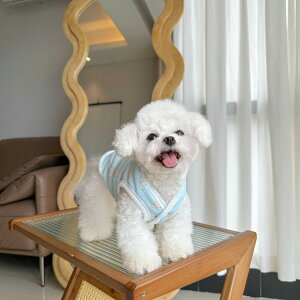  AE^[ xXg  ybg KZ tl xxbg  ~ u[ sN ӂӂxXg hbOEFA H~   