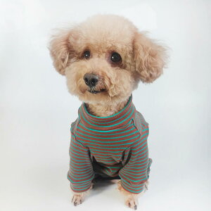  p㕞 wJ ^[glbN  {[_[ ̎q j̎q D  pEFA Ȃߖh~ ی앞  pW} H~ h  lr Ȃ lR Lpp S`XL 