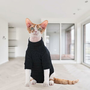 L p㕞 t EFA pPAEFA wZIP EȒP 񌳒 jbg Lk ₳ R[ rߖh~ h 畆ی pEGA L  D @  ނΉ S M L 