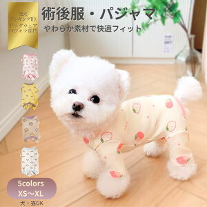 p㕞  L pW} p[X  XS S M L XL 킢  ǂ񂮂 X}C lR tďH~ I[V[Y Kf Lp  [EFA ybg  CG[ 