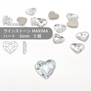 vVIT PRECIOSA CXg[ n[g NX^ 6mm 5  nhCh p[c ANZT[ rW[ fRp[c lC lCp[c WFlC W tbgobN FB ό^