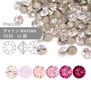 vVIT PRECIOSA `g MAXIMA sNn SS39 12  nhCh p[c ANZT[ rW[ fRp[c lC O[fR VJbg Xg[ ߍ݌^