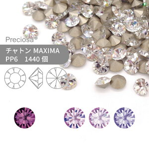 yOXpbNzvVIT PRECIOSA `g MAXIMA p[vn PP6 1440 Ɩp nhCh p[c ANZT[ rW[ fRp[c lC O[fR VJbg Xg[ ߍ݌^