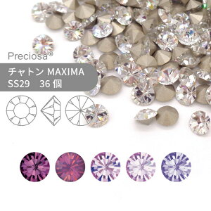 vVIT PRECIOSA `g MAXIMA p[vn SS29 36  nhCh p[c ANZT[ rW[ fRp[c lC O[fR VJbg Xg[ ߍ݌^