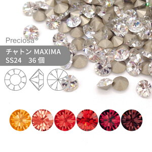 vVIT PRECIOSA `g MAXIMA bhn SS24 36  nhCh p[c ANZT[ rW[ fRp[c lC O[fR VJbg Xg[ ߍ݌^