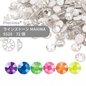 vVIT PRECIOSA CXg[ MAXIMA lIJ[ SS20 72  nhCh p[c ANZT[ rW[ fRp[c lC lCp[c WFlC W tbgobN FB