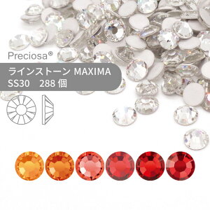 yOXpbNzvVIT PRECIOSA CXg[ MAXIMA bhEIWn SS30 288 Ɩp nhCh p[c ANZT[ rW[ fRp[c lC lCp[c WFlC 
