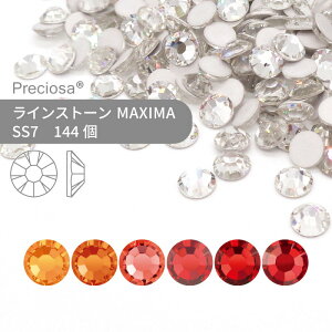 vVIT PRECIOSA CXg[ MAXIMA bhEIWn SS7 144  nhCh p[c ANZT[ rW[ fRp[c lC lCp[c WFlC W tbgobN