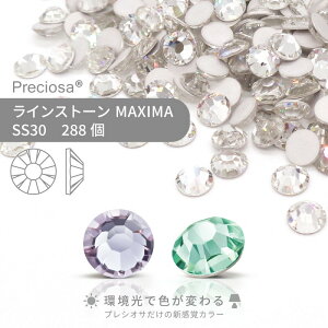 yOXpbNzvVIT PRECIOSA CXg[ MAXIMA X SS30 288 Ɩp nhCh p[c ANZT[ rW[ fRp[c lC lCp[c WFlC W t