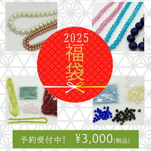 r[Y܁I 2025N 3000pbN