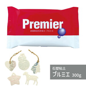 ΑYSy v~G 300g pWR y Sy g؂  }H Sy H iΕSy S ߂ ` nl` tBMA ⽍ SyNtg ANZT[ nhCh Ntg