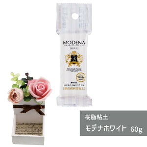 Sy fizCg 60g pWR y Sy Sy g؂  }H Sy H Sy S ߂ ` nl` tBMA ⽍ SyNtg ANZT[ nhCh 