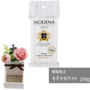 Sy fizCg 250g pWR y Sy Sy }H Sy H Sy S ߂ ` nl` tBMA ⽍ SyNtg ANZT[ nhCh Ntg