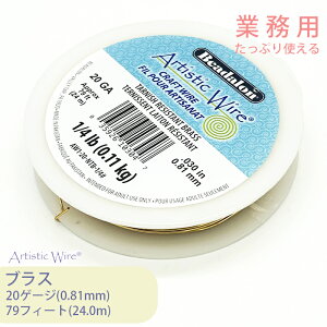 y努zr[YX~X A[eBXeBbNC[ uXF 20Q[W S24m 1 Ɩp e  C[ m^[jbV uX ܂ɂ 򉻂ɂ ϋv | WG[ 