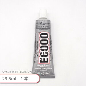 r[YX~X E6000 VR{h 29.5ml 1{ {h O[ pr  fR nhCh | ANZT[ WG[  Ntg  H