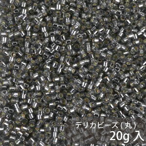 fJr[Y DB48 1.6mm 20g MIYUKI eʃpbN 4000 11/0(fJ) KXr[Y KX r[Y | nhCh nhChANZT[