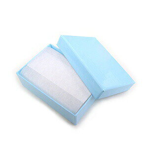 MtgP[X () 302 F 80x55x27mm 1 Zt bsO   tFU[P[X Cgu[ ANZT[ ̔ nhCh |