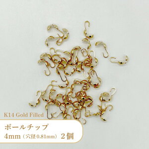 K14 �S�[���h�t�B���h �{�[���`�b�v GF/2000 ��4mm ���a0.81mm 2��