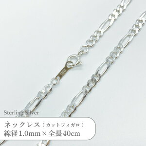 Vo[925 lbNX Jbg tBK `F[ SVFGT10 a1.0mm S40cm 1{