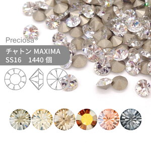 yOXpbNzvVIT PRECIOSA `g MAXIMA R[eBOn SS16 1440 Ɩp nhCh p[c ANZT[ rW[ fRp[c lC O[fR VJbg Xg[ ߍ݌^