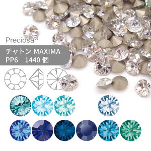 yOXpbNzvVIT PRECIOSA `g MAXIMA u[n PP6 1440 Ɩp nhCh p[c ANZT[ rW[ fRp[c lC O[fR VJbg Xg[ ߍ݌^