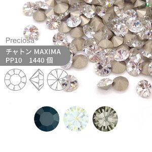 yOXpbNzvVIT PRECIOSA `g MAXIMA mg[n PP10 1440 Ɩp nhCh p[c ANZT[ rW[ fRp[c lC O[fR VJbg Xg[ ߍ݌^