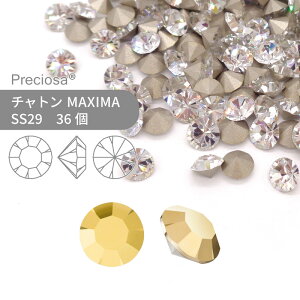 vVIT PRECIOSA `g MAXIMA NX^I[ SS29 36  nhCh p[c ANZT[ rW[ fRp[c lC O[fR VJbg Xg[ ߍ݌^