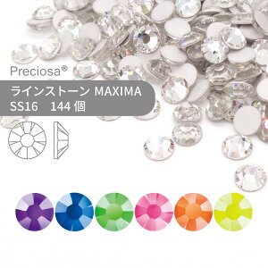 vVIT PRECIOSA CXg[ MAXIMA lIJ[ SS16 144  nhCh p[c ANZT[ rW[ fRp[c lC lCp[c WFlC W tbgobN FB