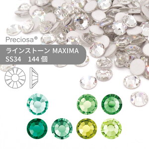 yOXpbNzvVIT PRECIOSA CXg[ MAXIMA O[n SS34 144 Ɩp nhCh p[c ANZT[ rW[ fRp[c lC lCp[c WFlC W t