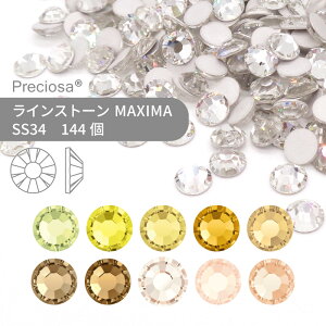 yOXpbNzvVIT PRECIOSA CXg[ MAXIMA CG[n SS34 144 Ɩp nhCh p[c ANZT[ rW[ fRp[c lC lCp[c WFlC W t