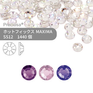 yOXpbNzvVIT PRECIOSA zbgtBbNX MAXIMA p[vn SS12 1440 Ɩp nhCh p[c ANZT[ rW[ fRp[c CXg[ zbgrW[ HOTFIx HF M