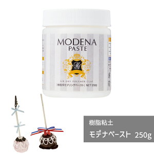 樹脂粘土 モデナペースト 250g パジコ 軽量 モデリングペースト 粘土 樹脂粘土 図工 粘土 工作 高級樹脂粘土 初心者 初めて 造形 創作人形 フィギュア 篆刻 粘土クラフト アクセサリー ハンド