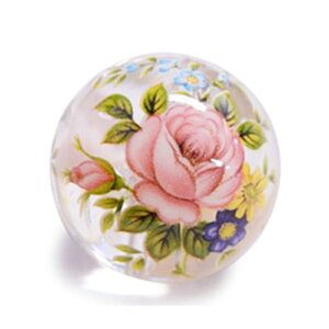 ]ʋ ԕ-sNo TB-6(ʂ) 2 ] r[Y ۋ c[g ]ʃr[Y ANZT[p[c r[Y v vX`bN Ft  t ͗l ʂ a aG a nhCh 