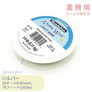 y努zr[YX~X A[eBXeBbNC[ Vo[F 20Q[W S24m 1 Ɩp e  C[ m^[jbV Vo[ ܂ɂ 򉻂ɂ ϋv | WG