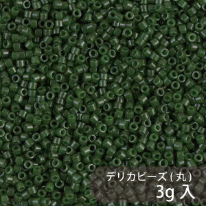 fJr[Y DB663 1.6mm 20g MIYUKI eʃpbN 4000 11/0(fJ) KXr[Y KX r[Y | nhCh nhChANZT[