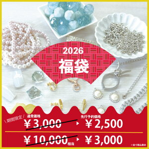 ܂r[Yp[c܁I 2026NHappy Bag 3000pbN