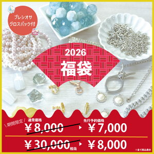 yvVIT ܂tz ՂANZT[p[cHappy BagI 2026N 8000pbN