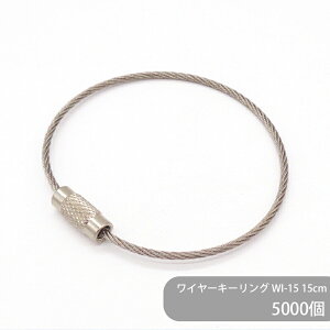 yP[X̔z e C[L[O WI-15 L[z_[ F 15cm 5000 L[`F[ bNC[  S[h Vo[ F F Xgbv L[z_[ ANZT[p[c 