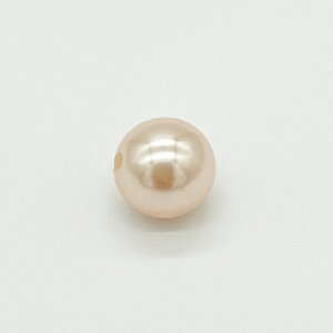 p[ ʂ NO.481 B1701 1{  Eh sN p[ y vX`bN  vp[ Ntg nhCh nhChANZT[ Y