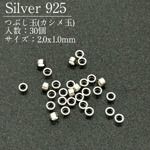 �V���o�[925 �Ԃ��� SVPD1 2.0x1.0mm 30��